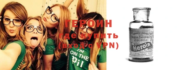 прущие грибы Новодвинск