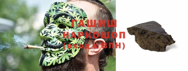 прущие грибы Новодвинск
