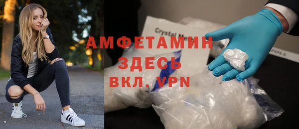 прущие грибы Новодвинск