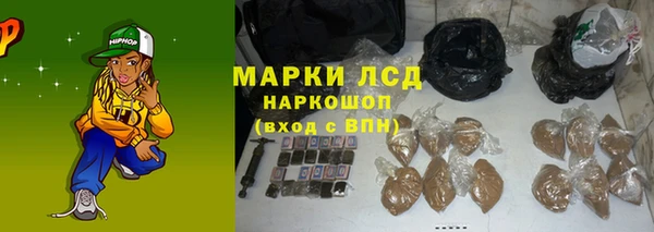 прущие грибы Новодвинск