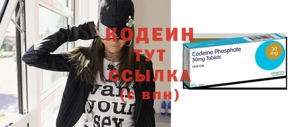 прущие грибы Новодвинск