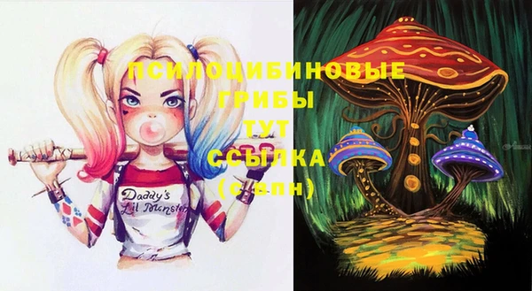 тгк Новокубанск