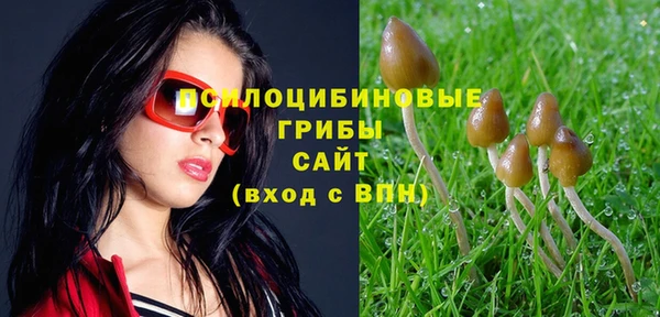 тгк Новокубанск