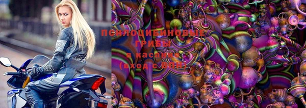 прущие грибы Новодвинск