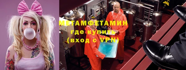 прущие грибы Новодвинск