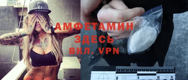 прущие грибы Новодвинск