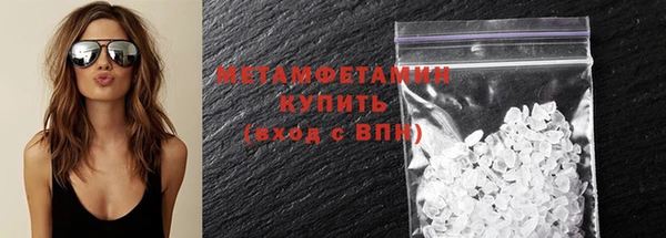 прущие грибы Новодвинск