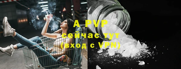 прущие грибы Новодвинск