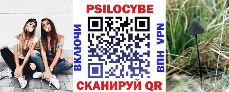 Галлюциногенные грибы Cubensis  Купить закладки  Апатиты 